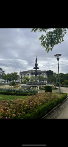 Image (1)